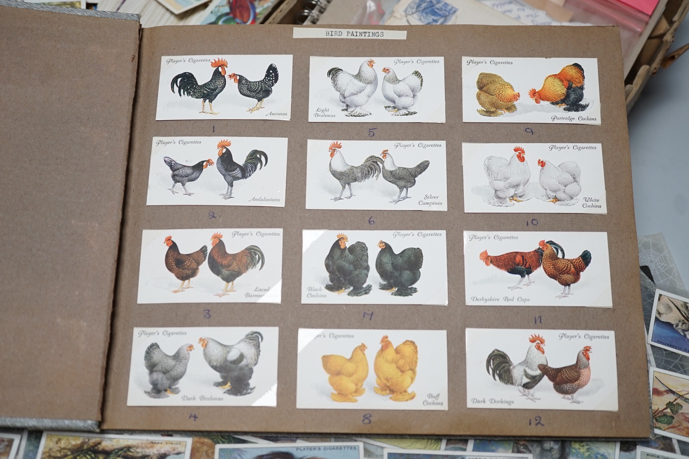 Cigarette and tea cards and loose stamps, including sets of British birds by Phillips, Ogdens and Carrolls